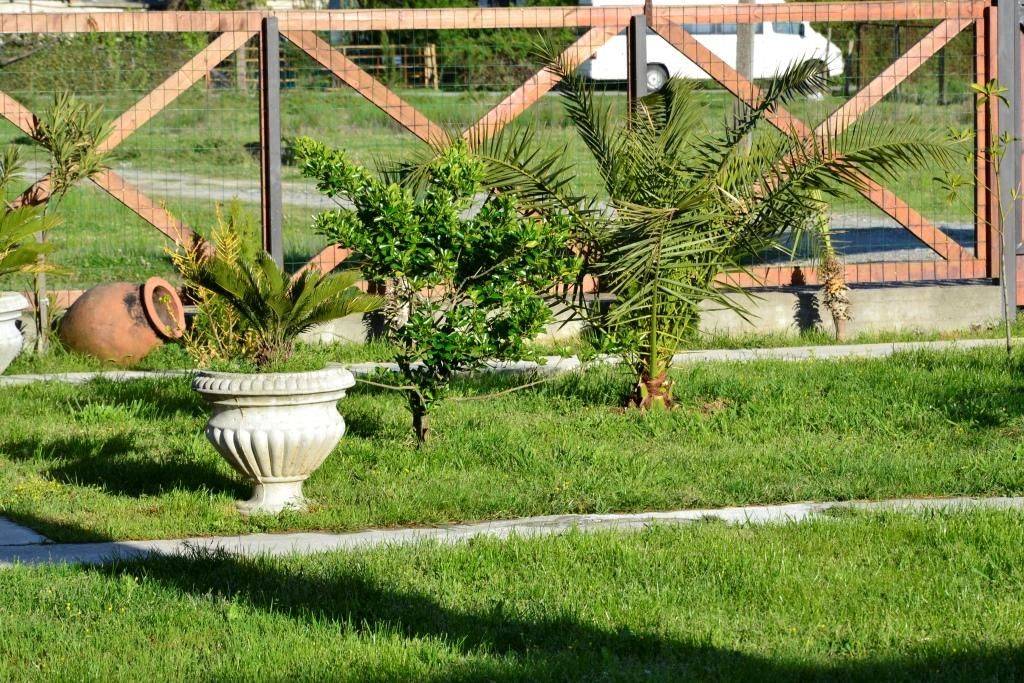 Фото Гостевого дома Отель Лдзаа Пицунда 31